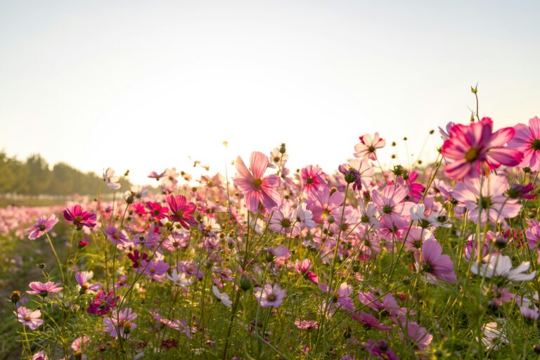 10 Most Powerful Dua’s (Supplication) from the Quran